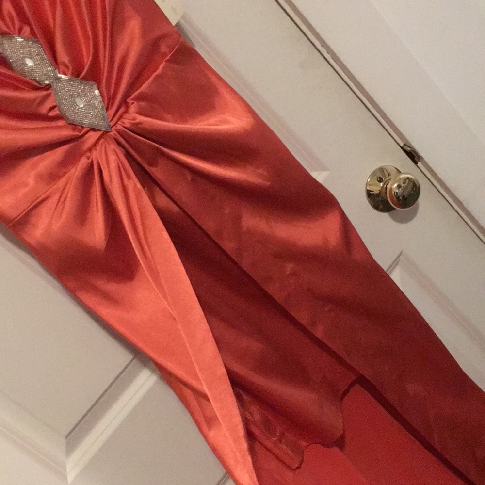 Prom Dress - Picture 3 of 3